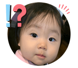 304383538