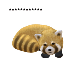 304384433