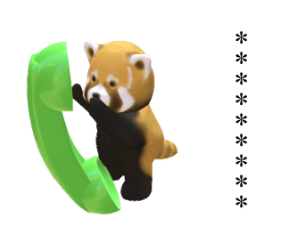 304384435