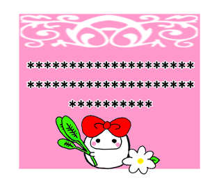 304386044