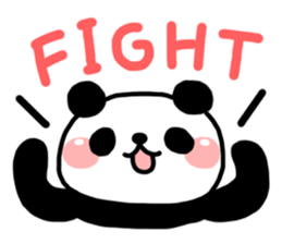 3043909