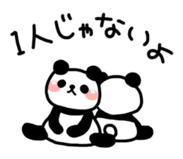 3043919