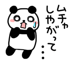 3043924