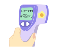 304415539