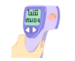 304415545