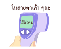 304415546