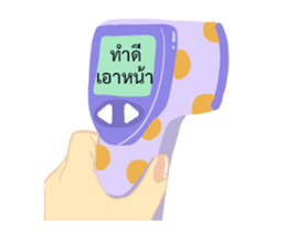 304415553
