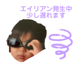 304494428