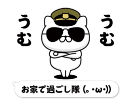 304532252