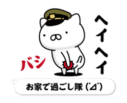 304532253