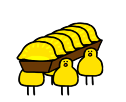 304534309