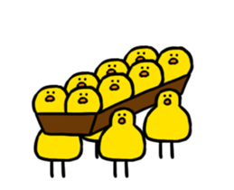 304534313