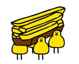304534316