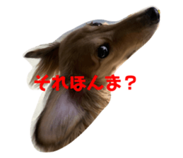 304536840