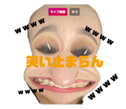 304548186