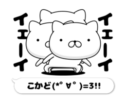 30455264