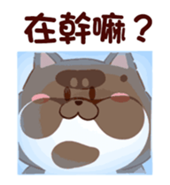 304578614