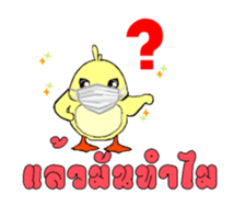 304591261