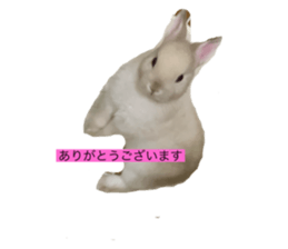304603021