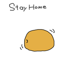 304603746