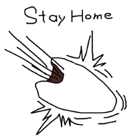 304603753