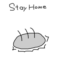 304603760