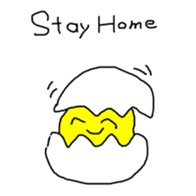 304603762