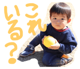 304663186