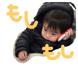 304663190