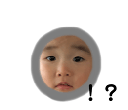 304683740