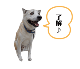 304719028