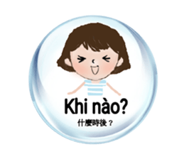 304719560