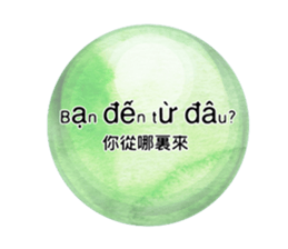 304722681