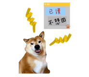 304727027