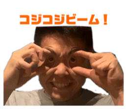 304731317