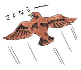 304738257
