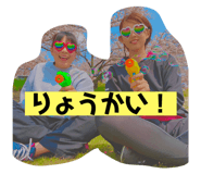 304742734