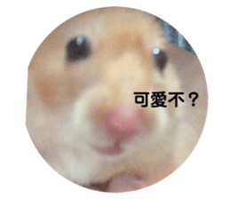 304757019