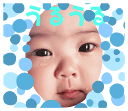 304766480