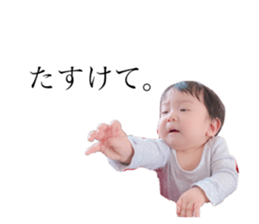304801351