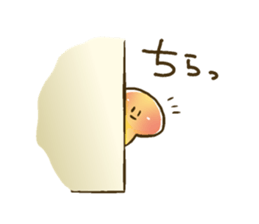 305012765