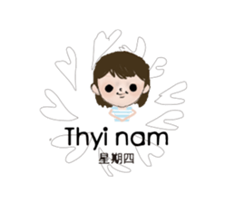 305016548