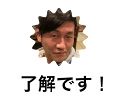 305027551