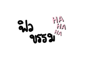 305034585