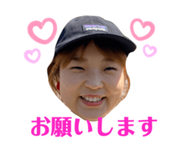 305053551