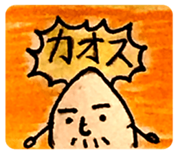 305076664