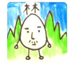 305076673