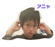 305077086