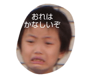 305077088