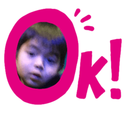305093676